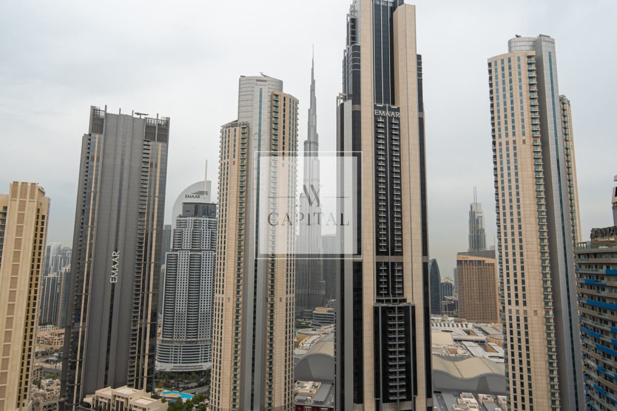 Burj  view | Fully Furnished| Big Lay out